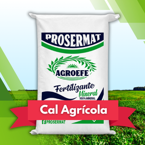 Cal Agrícola en Polvo (dolomita) 20 kg