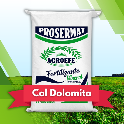 Cal Dolomita en Polvo 20 kg AgroEfe