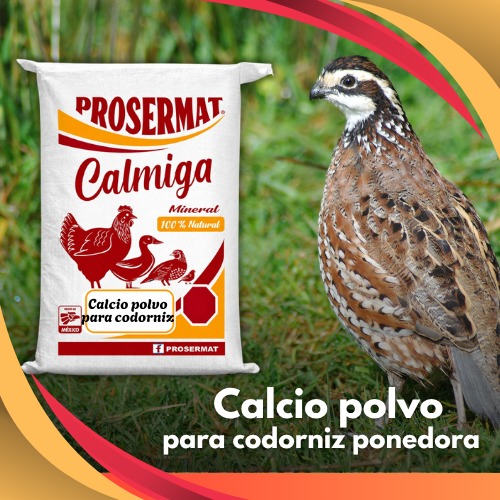 Calcio en Polvo para Codorniz 20 kg Calmiga