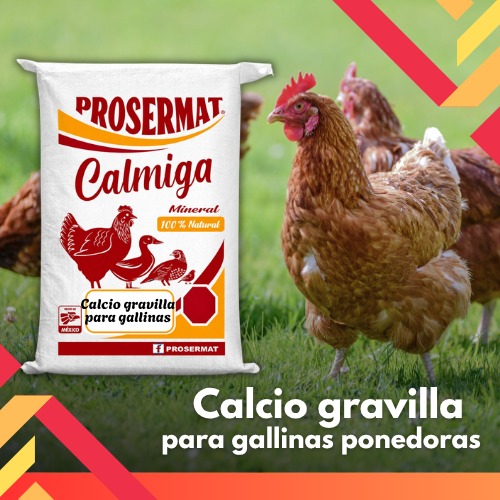Calcio Gravilla para Gallinas Ponedoras 20 kg Calmiga