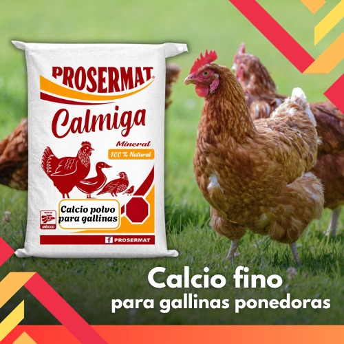 Calcio Polvo para Gallinas Ponedoras 20 kg Camiga