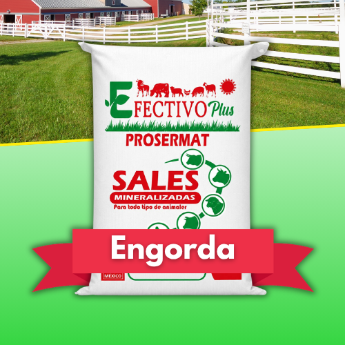 Sales Mineralizadas Engorda 20 kg Efectivo Plus