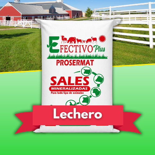 Sales Mineralizadas Lechero 20 kg Efectivo Plus