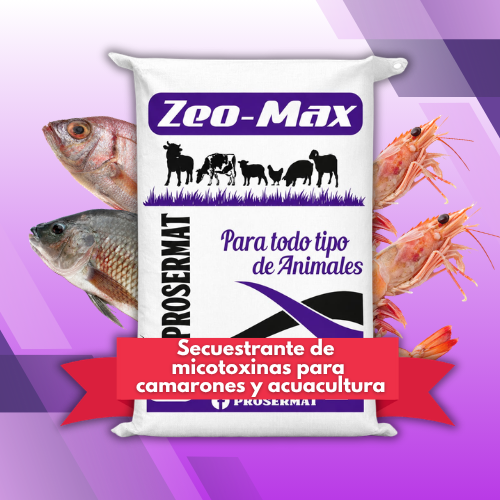 Complemento Mineralizado para Peces y camarones 10 kg ZeoMax