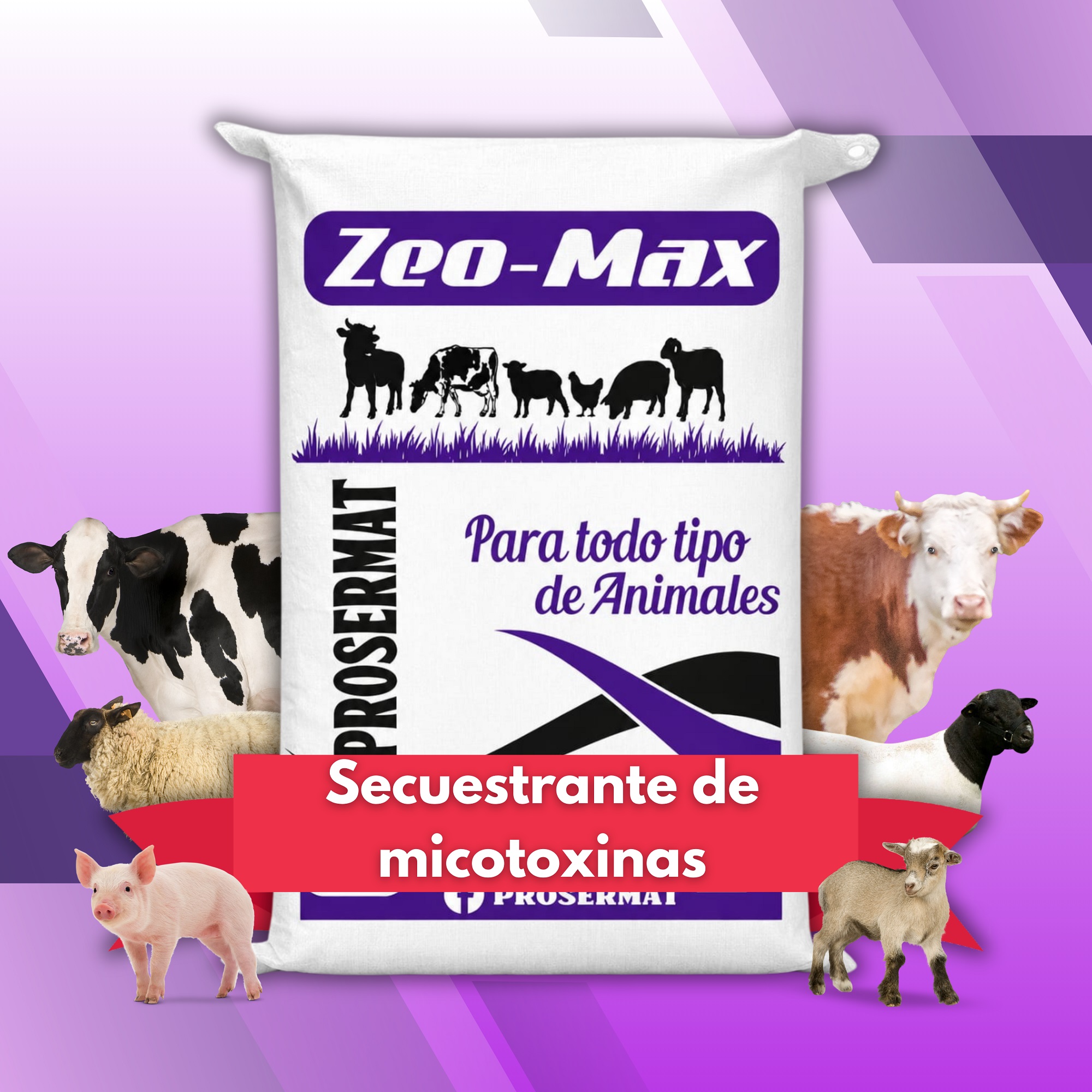 Secuestrante de Micotoxinas aditivo para alimento balanceado 5 kg ZeoMax