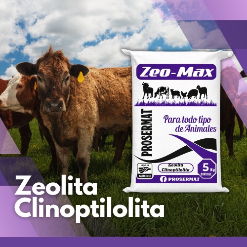 Zeolita Clinoptilolita para Ganado 20 kg ZeoMax