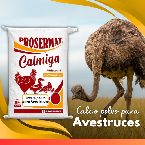 Calcio en Polvo para Avestruces 20 kg Calmiga