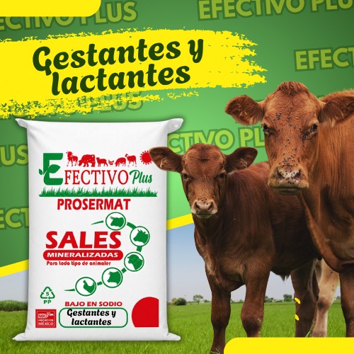 Premezcla Mineralizada Fosforo 21 para gestantes y lactantes 20 kg Efectivo Plus