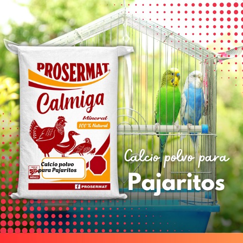 Calcio en Polvo para Pajaritos 20 kg Calmiga