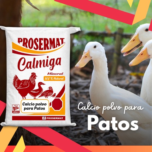 Calcio en Polvo para Patos 20 kg Calmiga