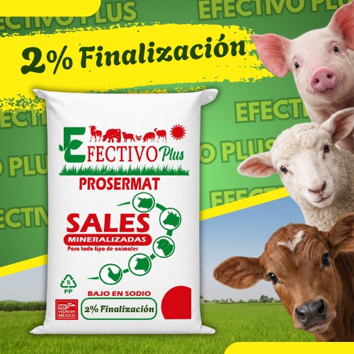 Nucleo Premezcla mineralizada Finalizacion Engorda 2% - 20 kg Efectivo Plus