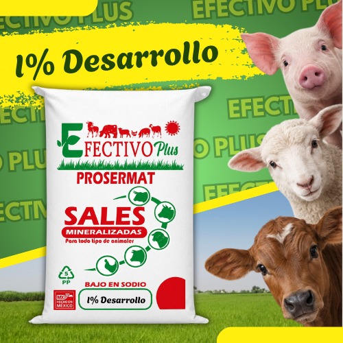 Nucleo Premezcla mineralizada Desarrollo Engorda 1% - 20 kg Efectivo Plus